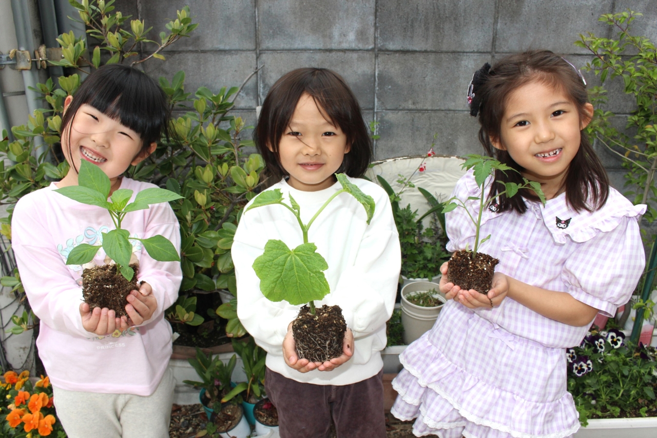 2026年4月下旬　「夏野菜」の苗を植えました