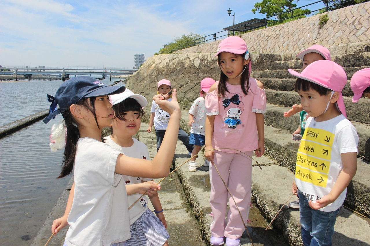 2026年6月　雨の合間に・・・
