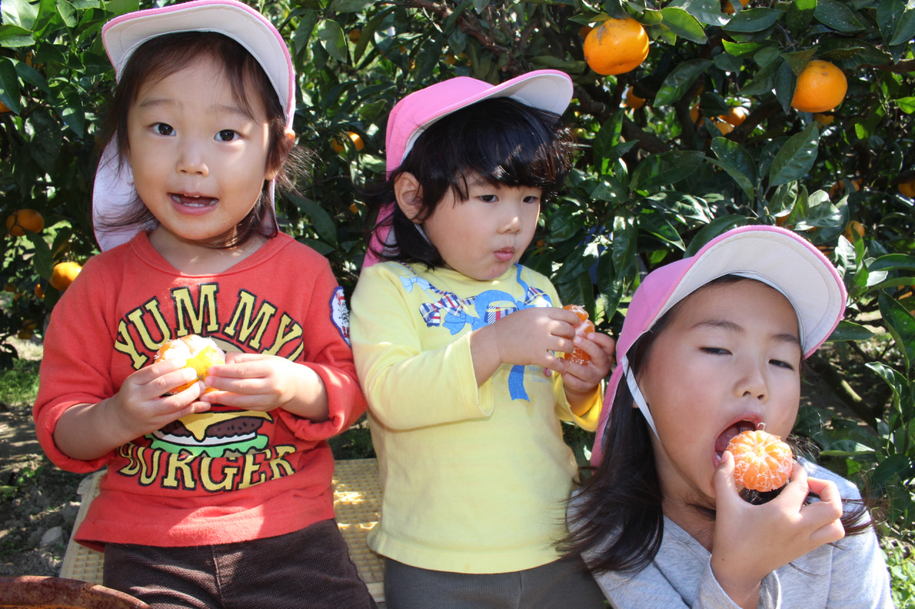2019年11月1日 みかん狩り遠足(山口県周防大島)