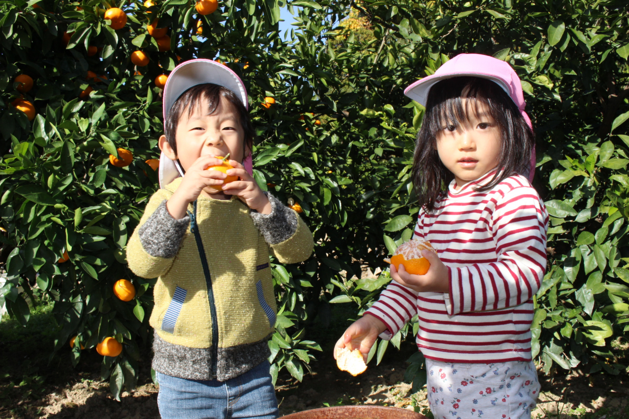 2018年11月29日 みかん狩り遠足(山口県周防大島)