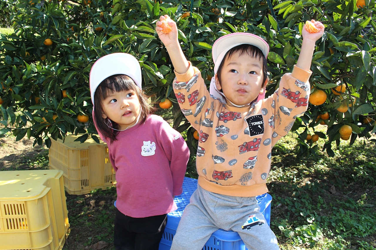 2025年11月7日　みかん狩り遠足（山口県周防大島）